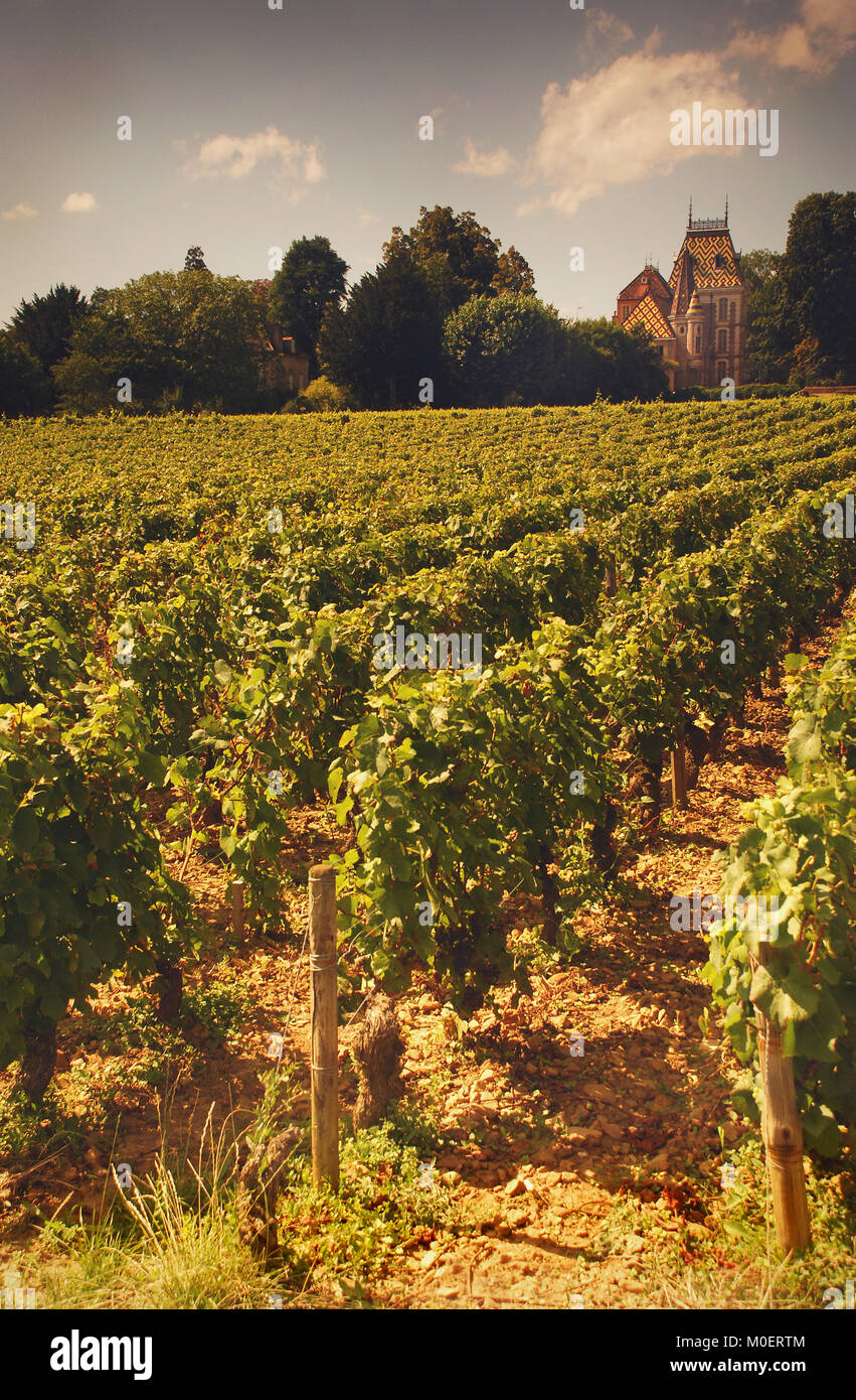 Chateau Aloxe-Corton and Vineyards near Beaune Burgundy France Stock Photo