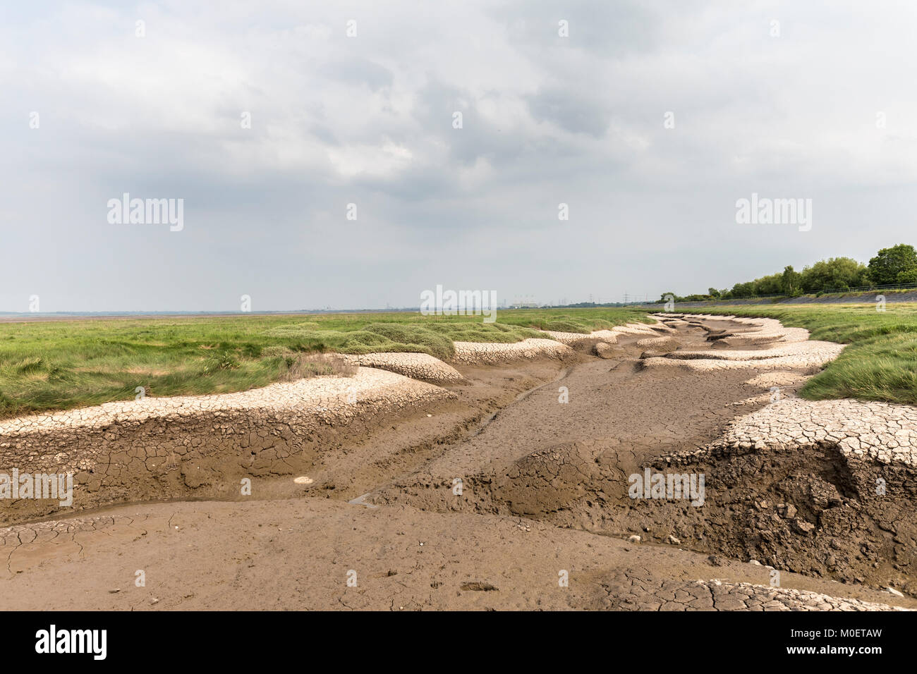 Muddy inlets in salt marsh, Dee estuary, Flint, Flintshire, Wales, UK Stock Photo