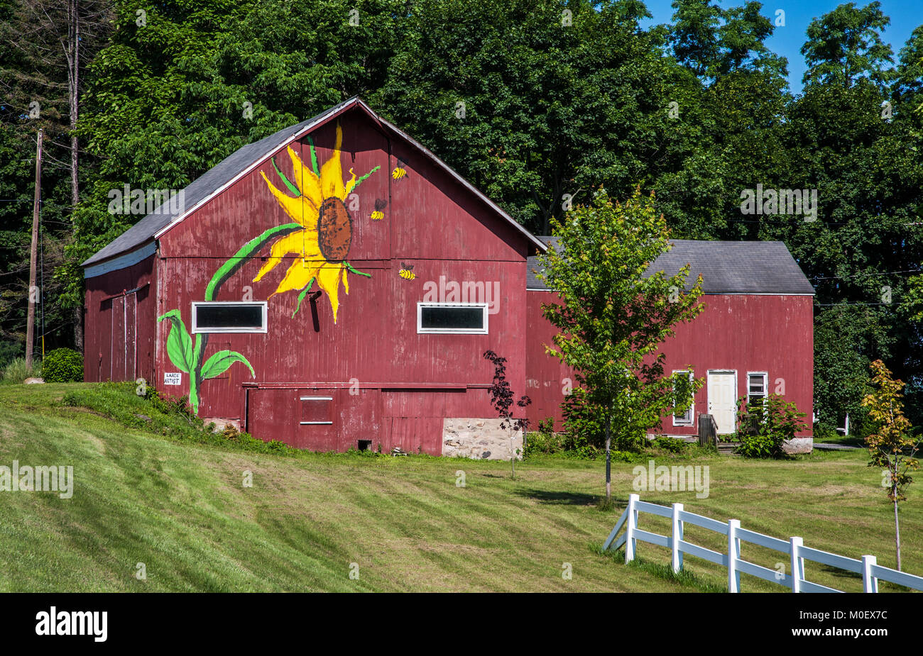 Large cheerful sunflower hand painted on a red barn, Rochester, New York, USA farming farmland sunflowers abstract, American barn summer Stock Photo