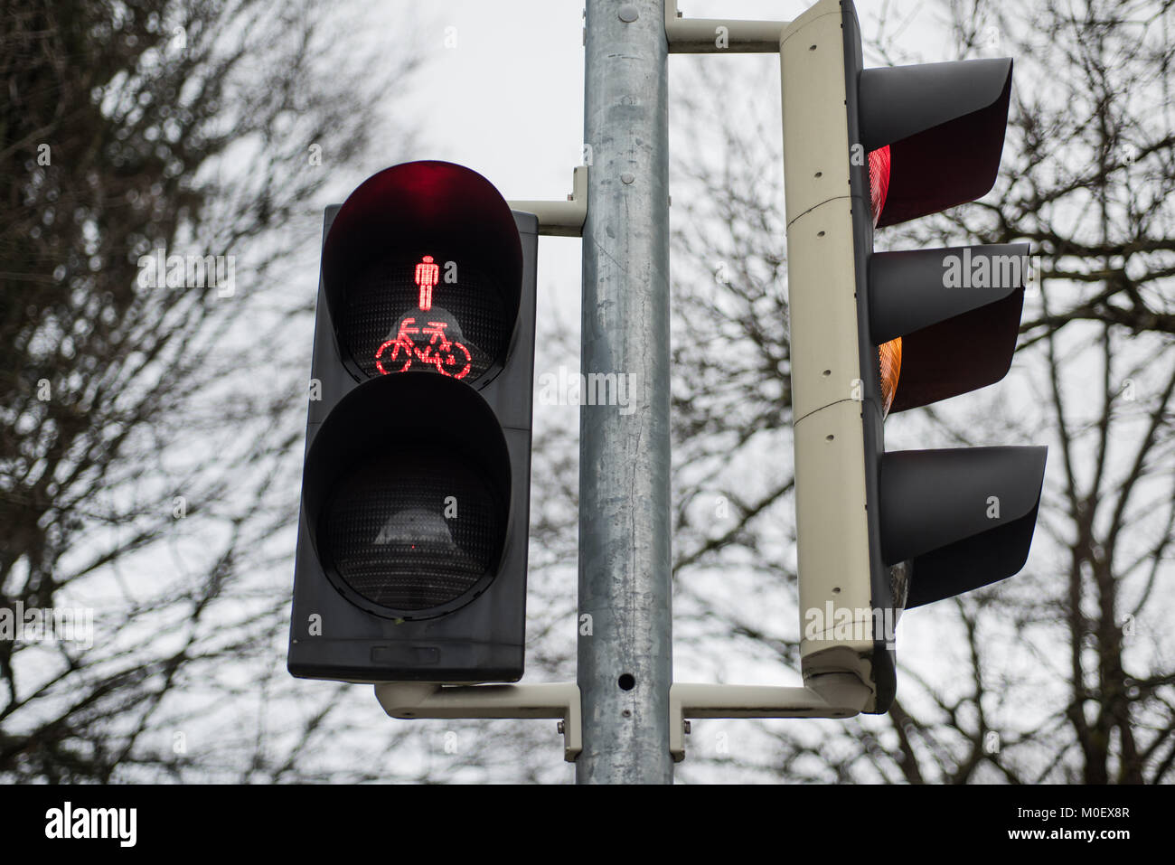 traffic light system Stock Photo Alamy
