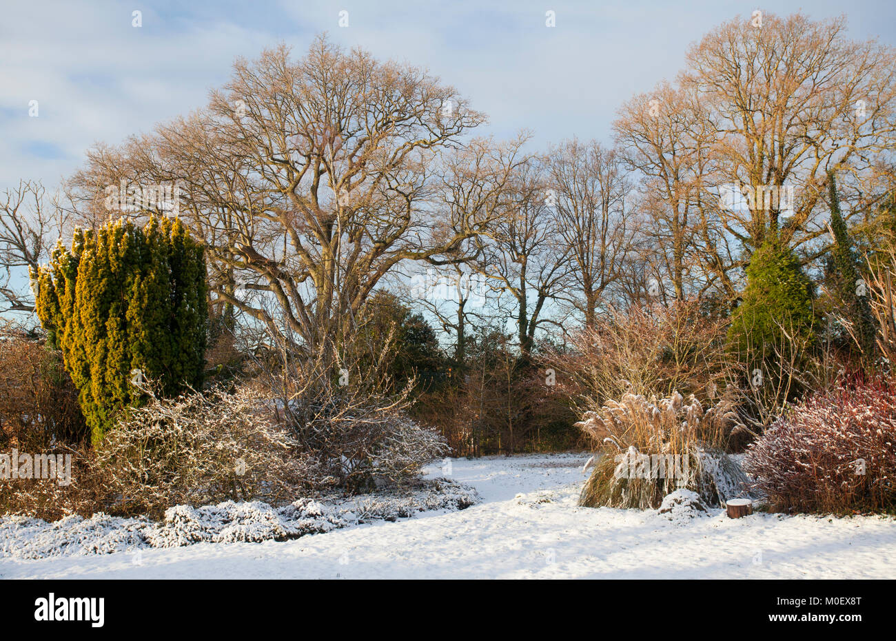 Snow scenes sussex hi-res stock photography and images - Alamy