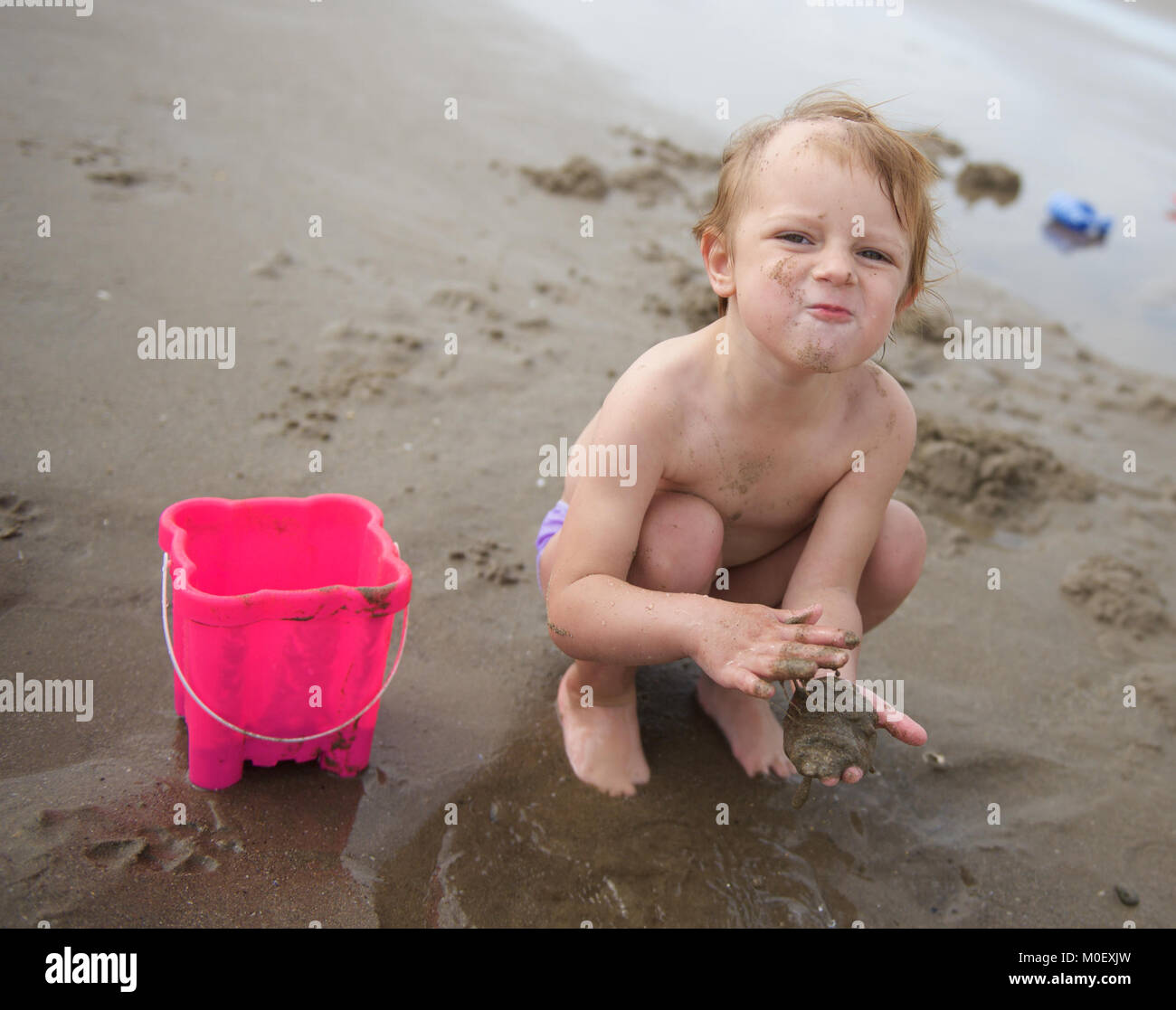 Toddler playing in wet sand on the beach Stock Photo