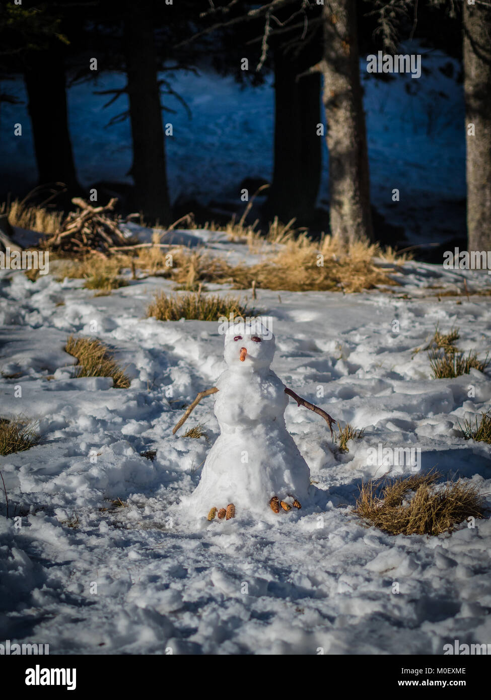 Snowman in the forest, Vitosha, Bulgaria Stock Photo