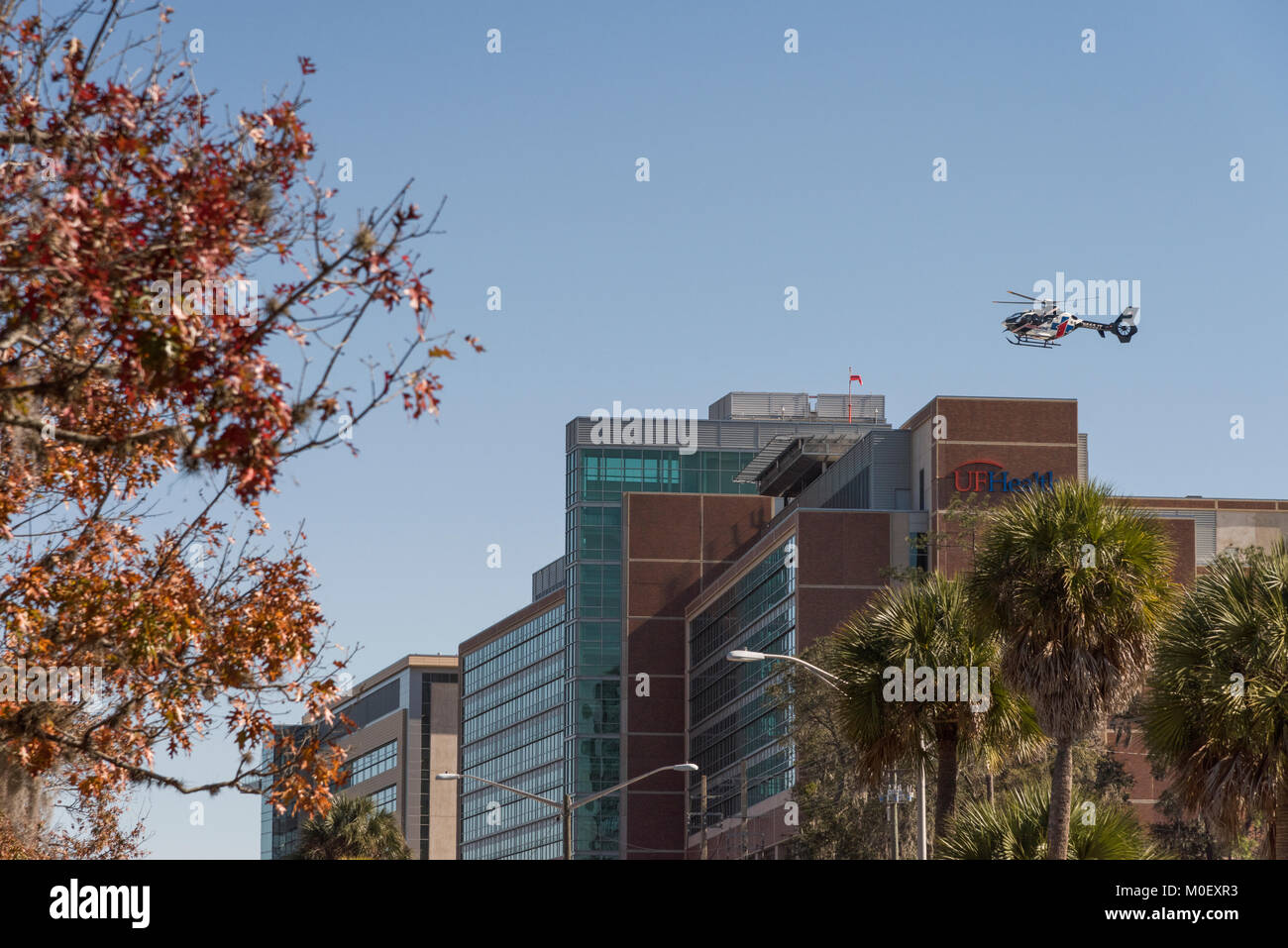 Uf Health Stock Photos Uf Health Stock Images Alamy
