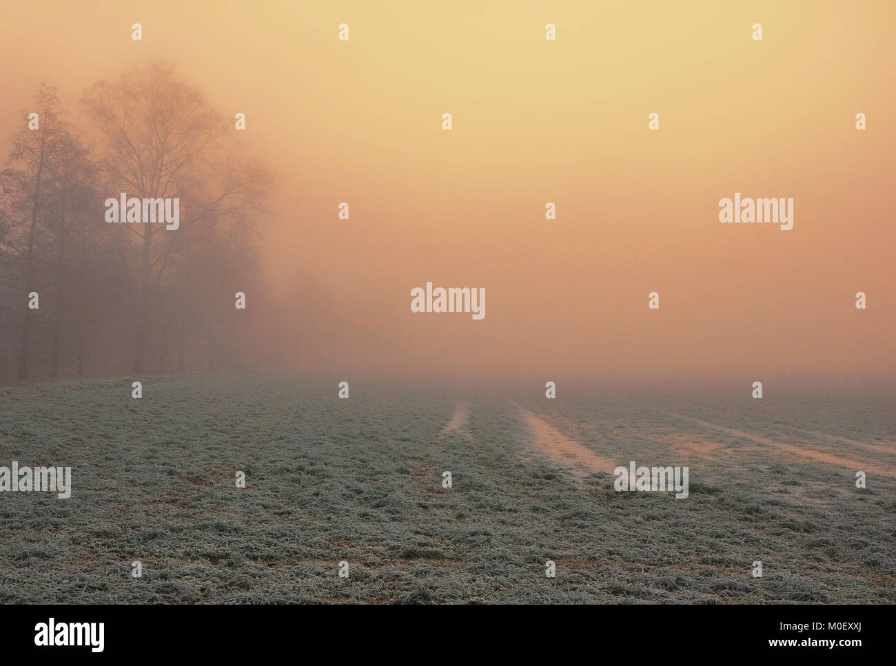 Rural landscape in mist, Bezirk, Aargau, Switzerland Stock Photo