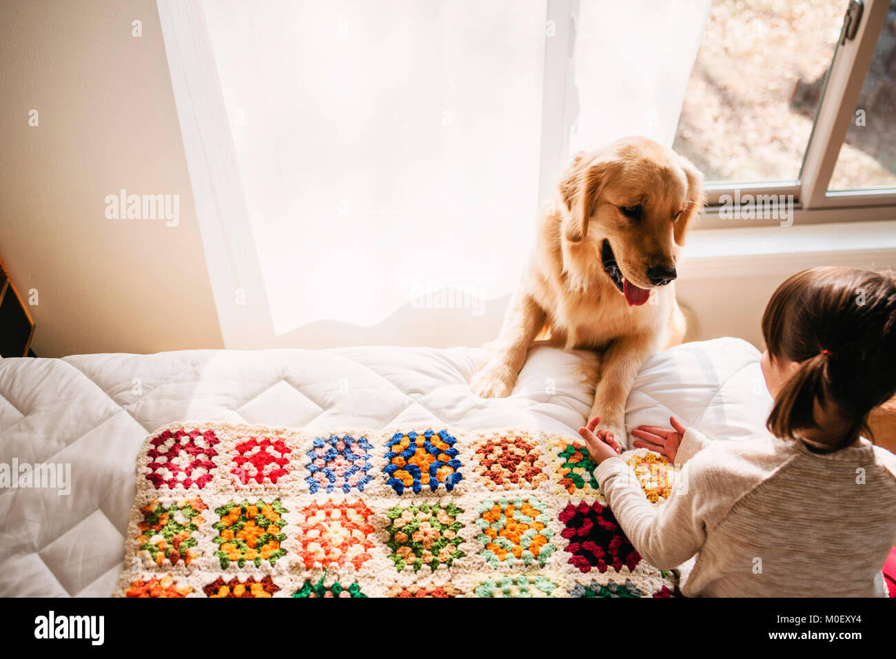 Girl sitting on her bed playing with a golden retriever dog Stock Photo ...