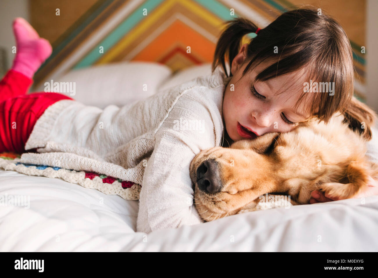 Girl lying on a bed with her golden retriever dog Stock Photo