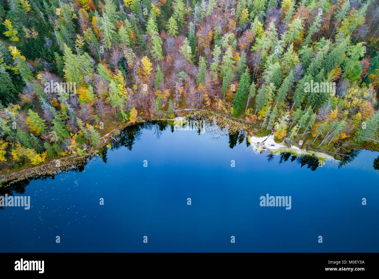 Aerial view of fall foliage surrounding a mountain lake in Austria