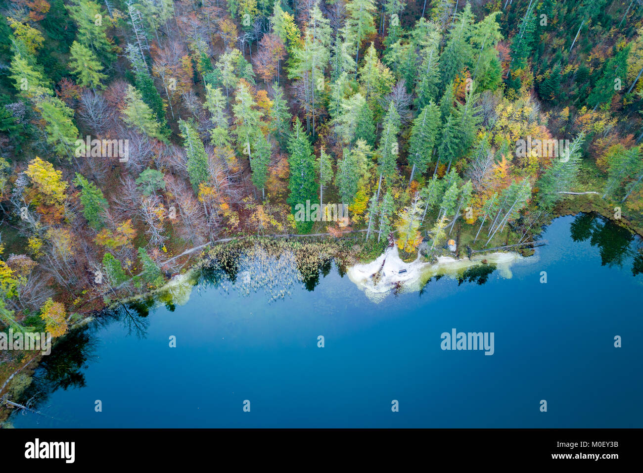 Aerial view of fall foliage surrounding a mountain lake in Austria