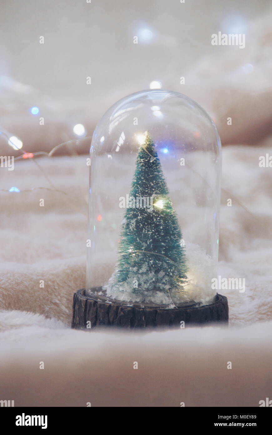 Snow globe christmas tree hires stock photography and images Alamy