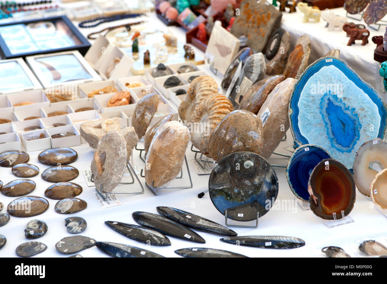 Gem rocks for sale shop