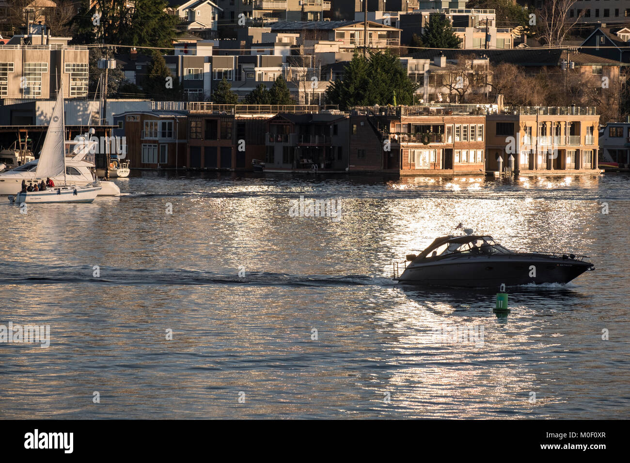 People in Gas Works Park with the Eastlake neighborhood and Lake Union behind, Seattle, Washington, USA Stock Photo