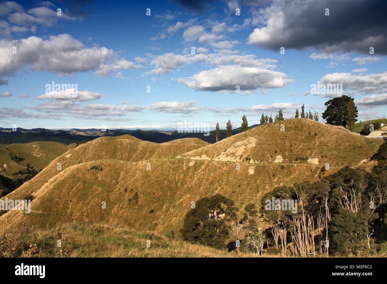 New Zealand landscape - hills of Manawatu-Wanganui region. Stock Photo