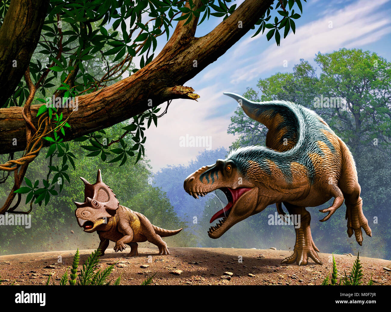 A Lythronax attacking to a Diabloceratops chicks Stock Photo