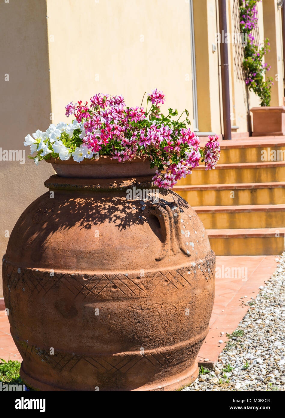 Terracotta flower pot Stock Photo Alamy