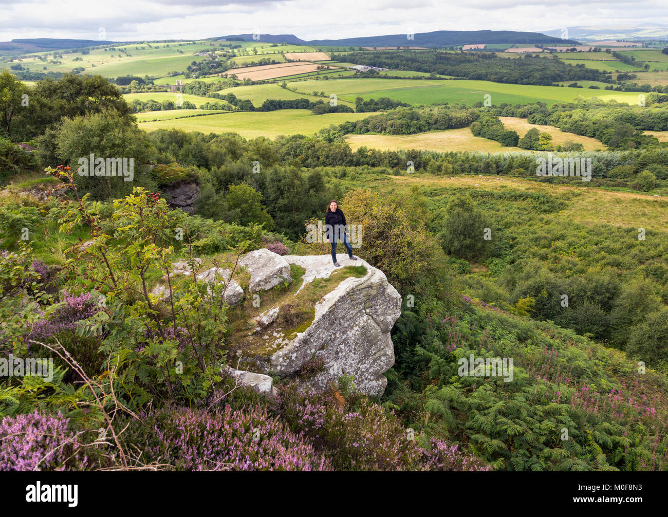 Northumberland countryside Stock Photo Alamy