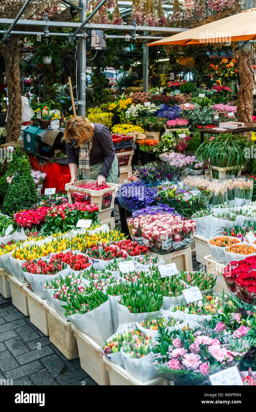 Flower shop, Bloemenmarkt, Amsterdam, Netherlands Stock Photo Alamy