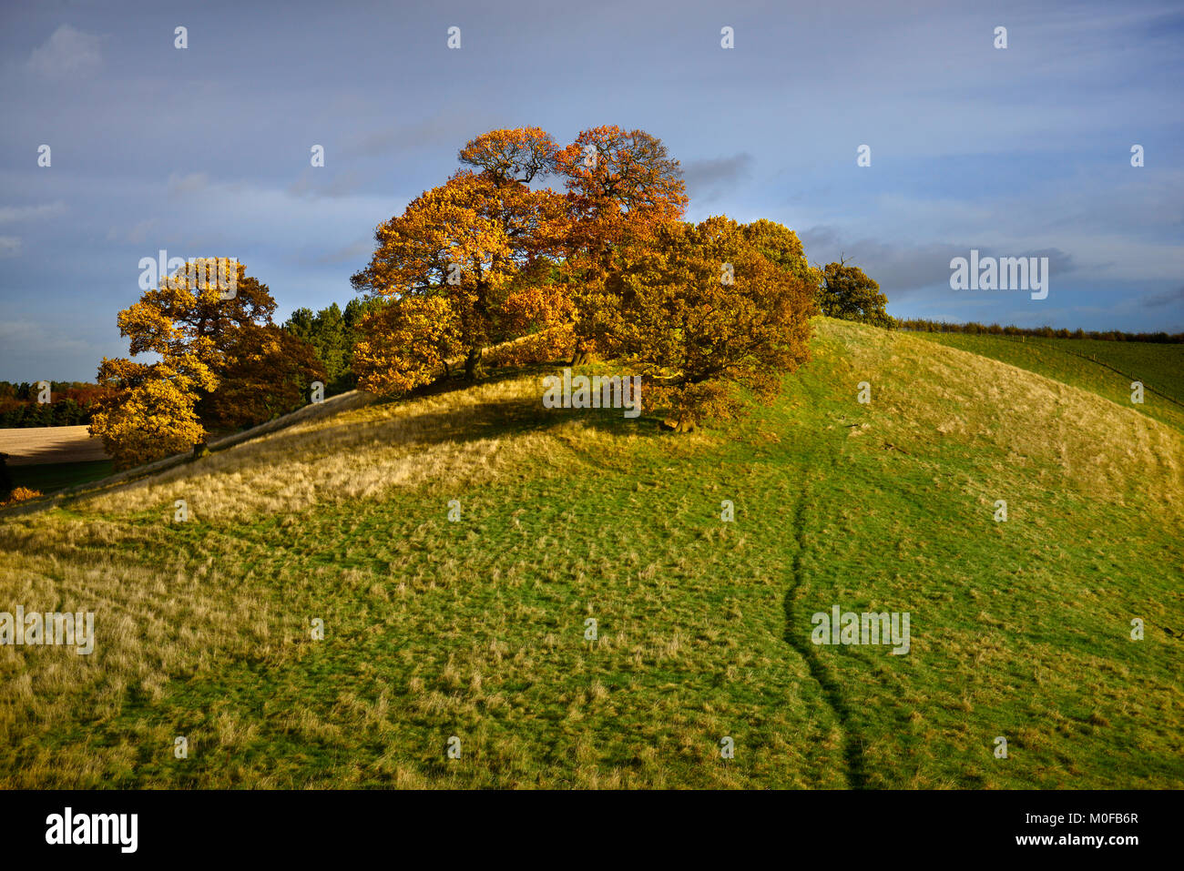 Robin Hood's Hill in Autumn Stock Photo