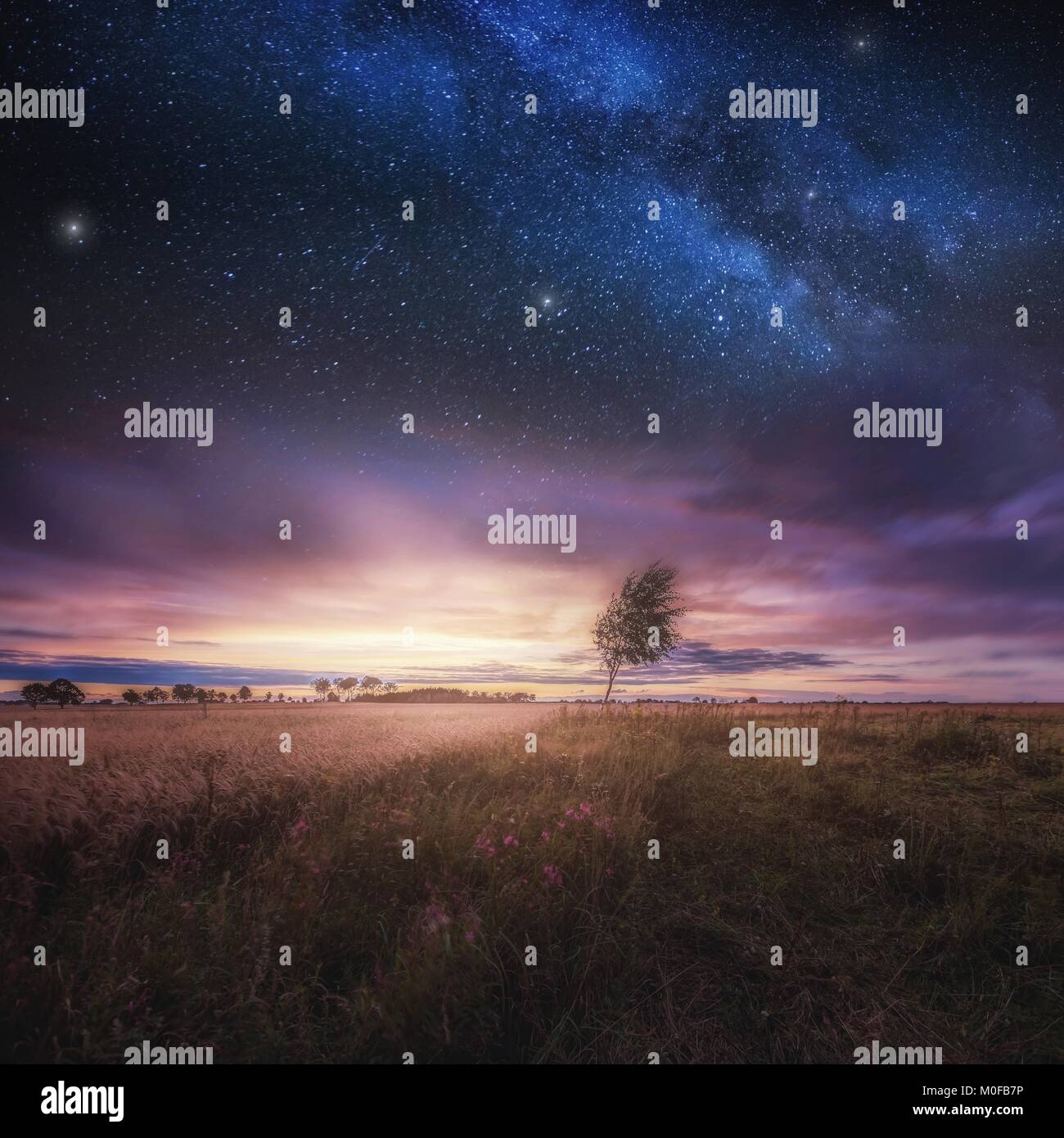 Beautiful landscape with field under sky with starrs. Polish landscape