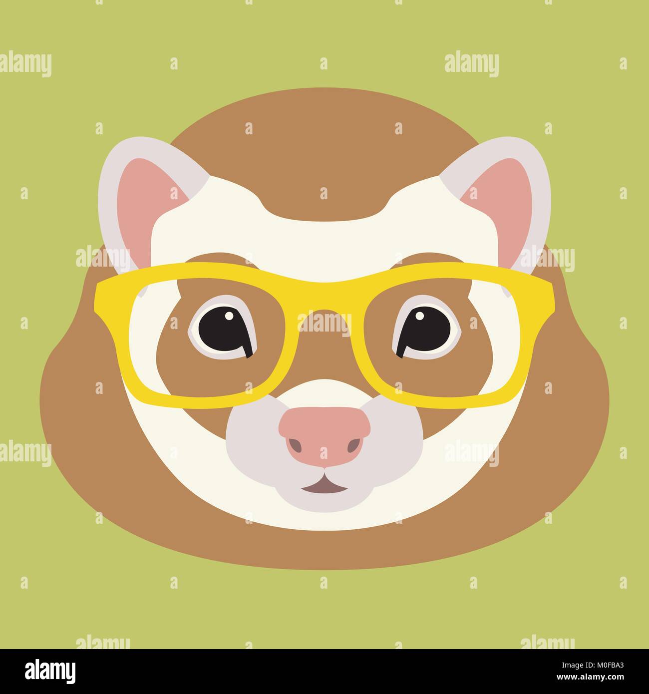 ferret in glasses vector illustration flat style front side Stock Vector Image & Art Alamy