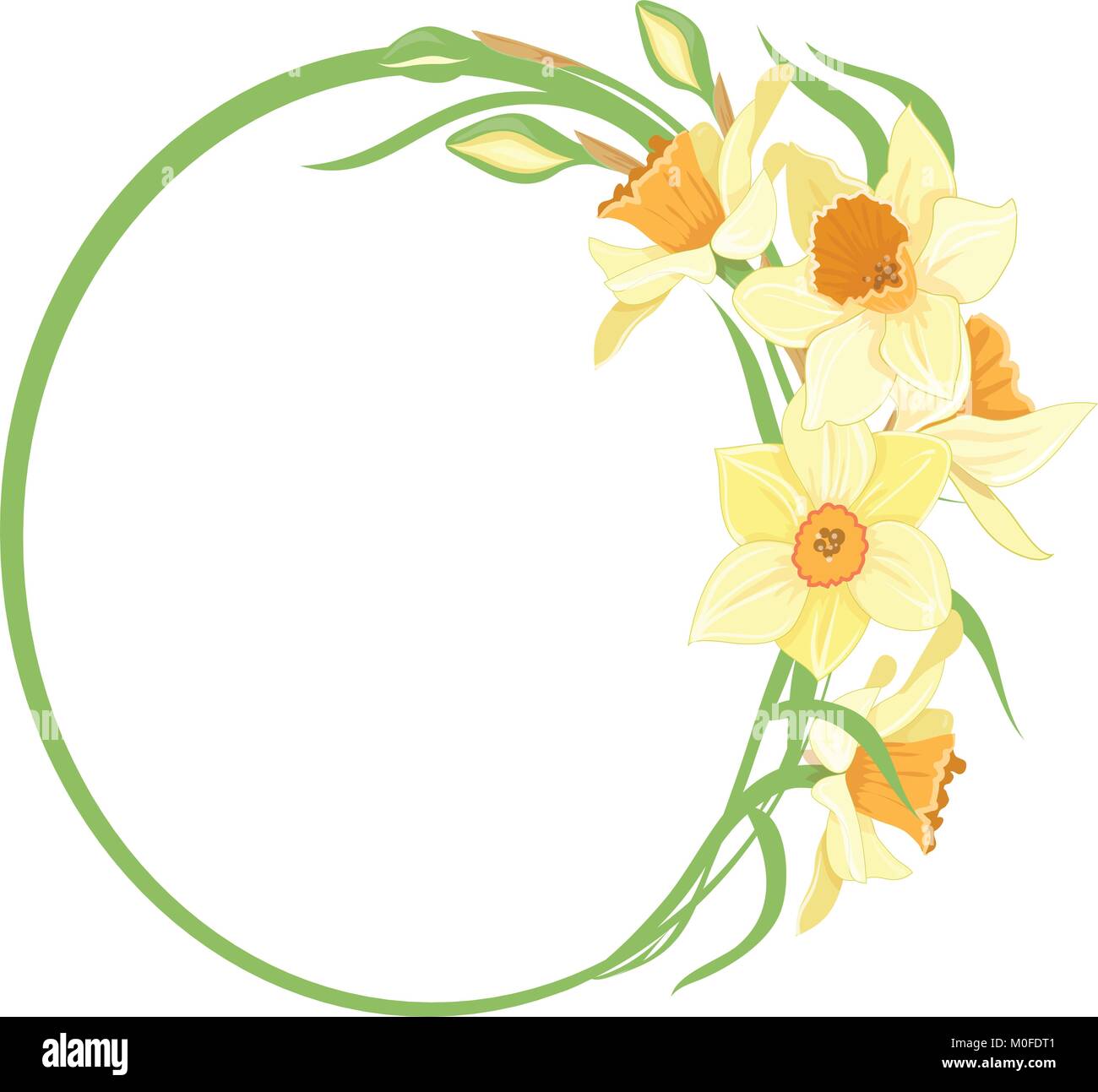 Bouquet narcissus in a round frame isolated vector clipart illustration of spring narcissus flowers Stock Vector