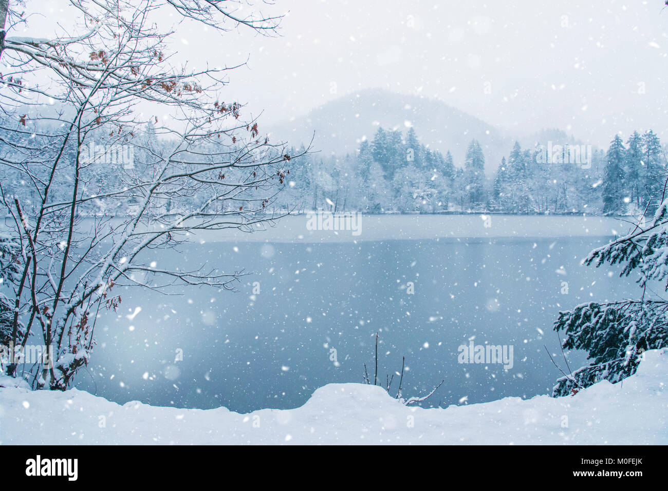 Frozen lake in snowy forest Stock Photo - Alamy