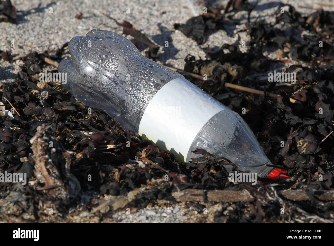 Plastic soft drink bottle on beach. Stock Photo