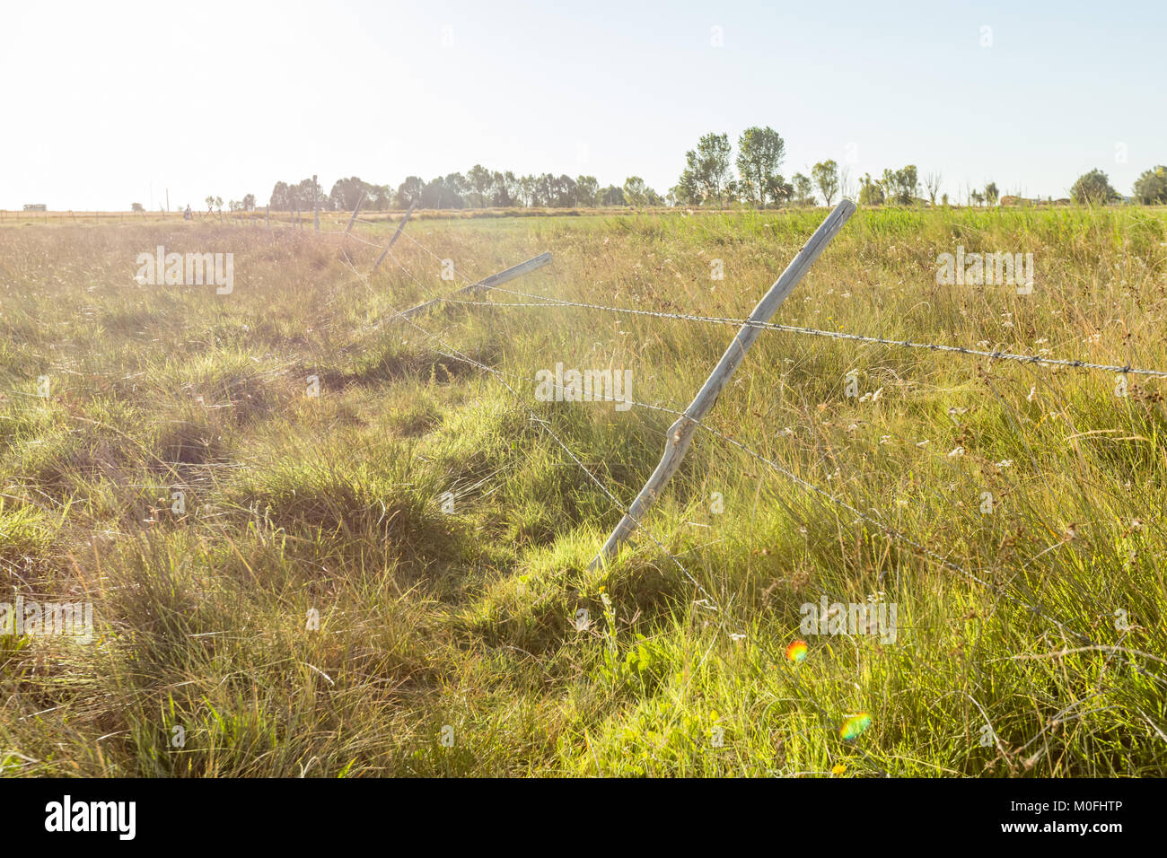 Old leaning fence post hi-res stock photography and images - Alamy