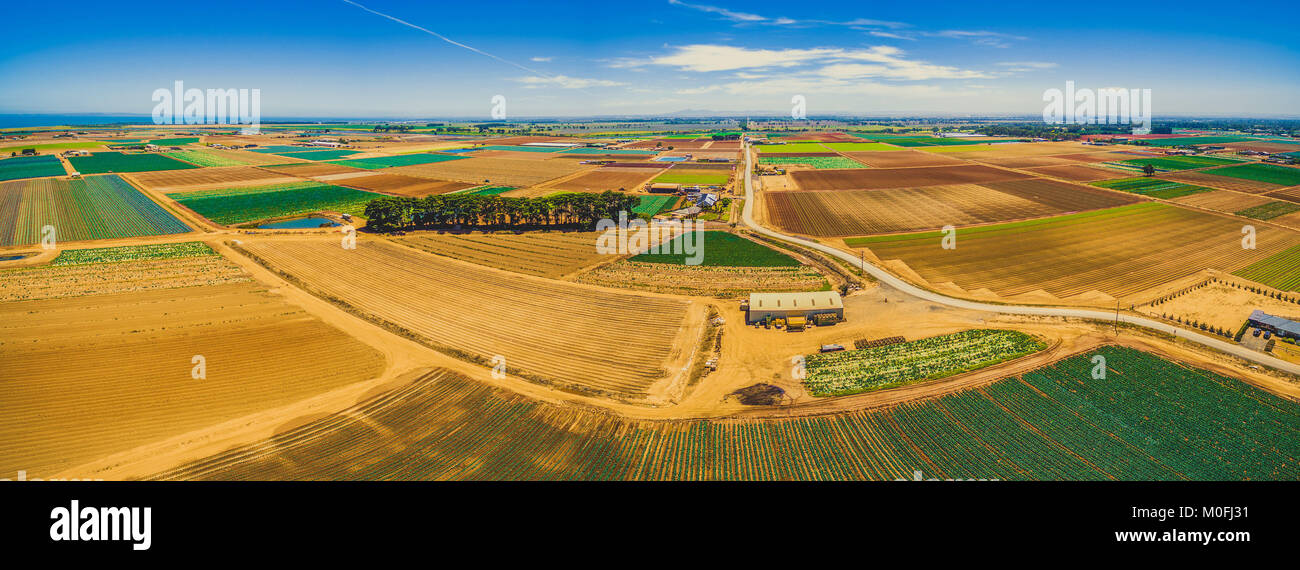 Aerial panorama of crop fields - straight rectangles with rural road on ...
