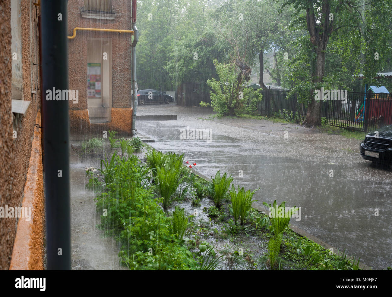 Summer pouring rain in the city. Small courtyard with asphalt way and flowerbed. Stock Photo