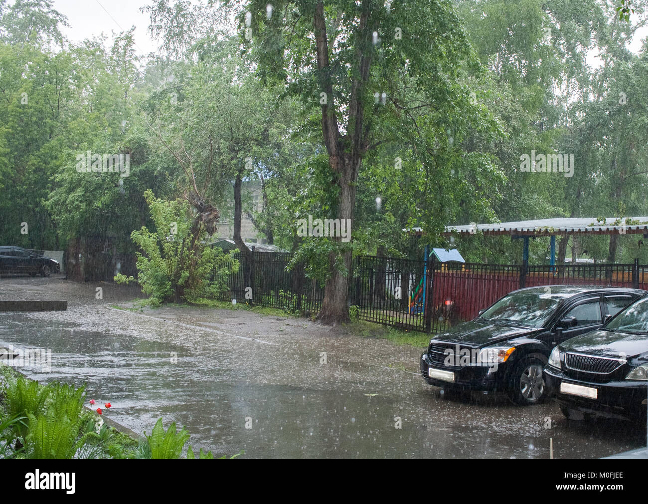 Summer pouring rain in the city. Small courtyard with asphalt way and black cars. Stock Photo