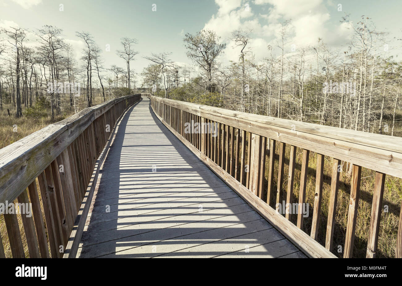 Boardwalk in swamp Stock Photo Alamy