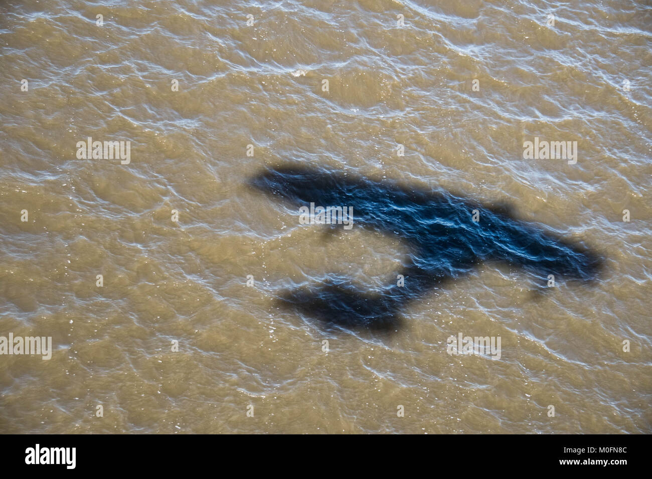 Shadow of seaplane looms over choppy Florida waters Stock Photo