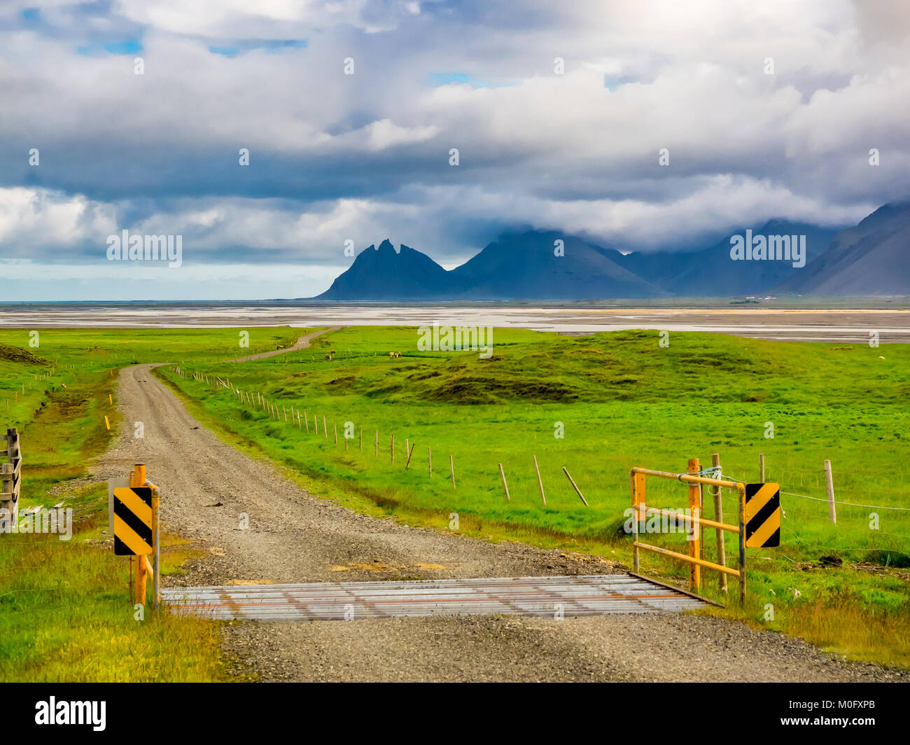 Icelandic landscape with green field at seaside and high mountain Stock Photo