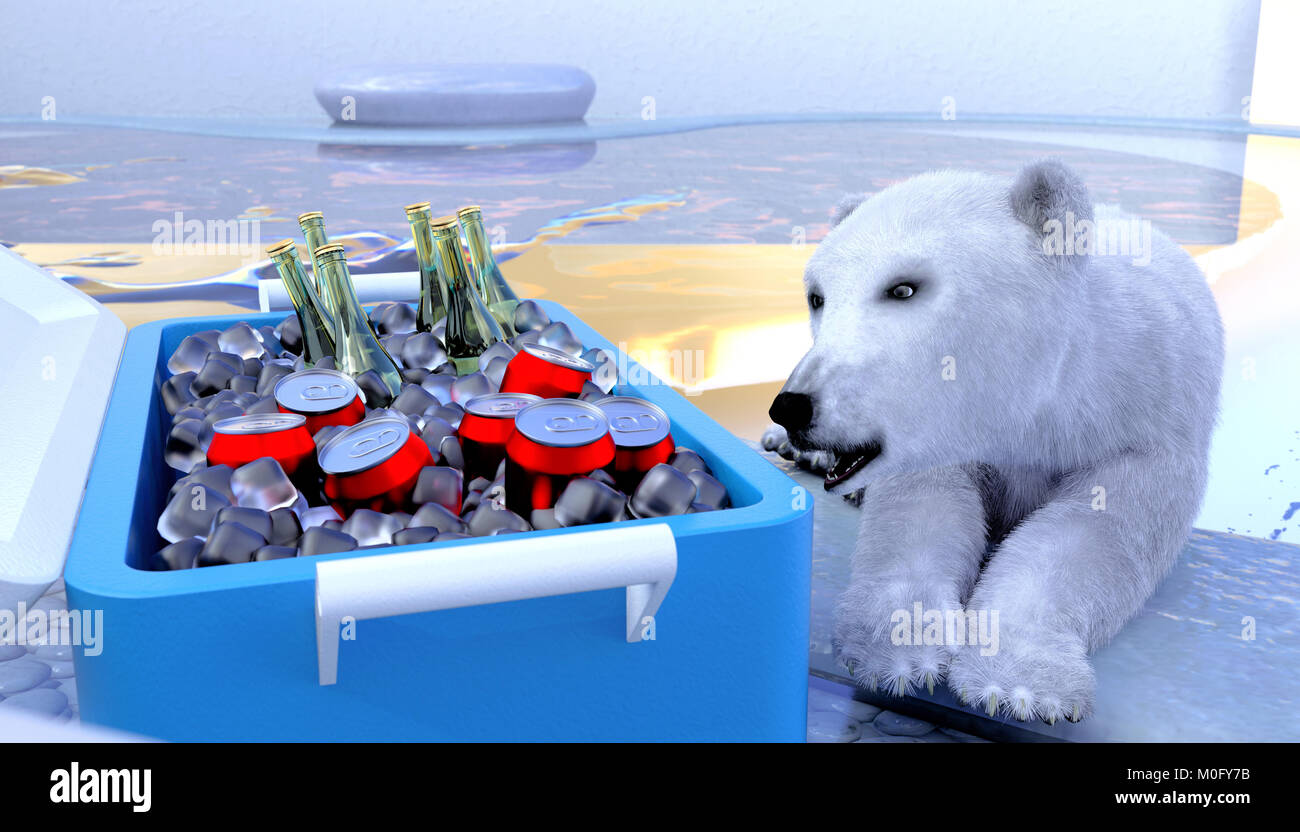 A polar bear looking at cooling container box on a day of the summer Stock  Photo - Alamy