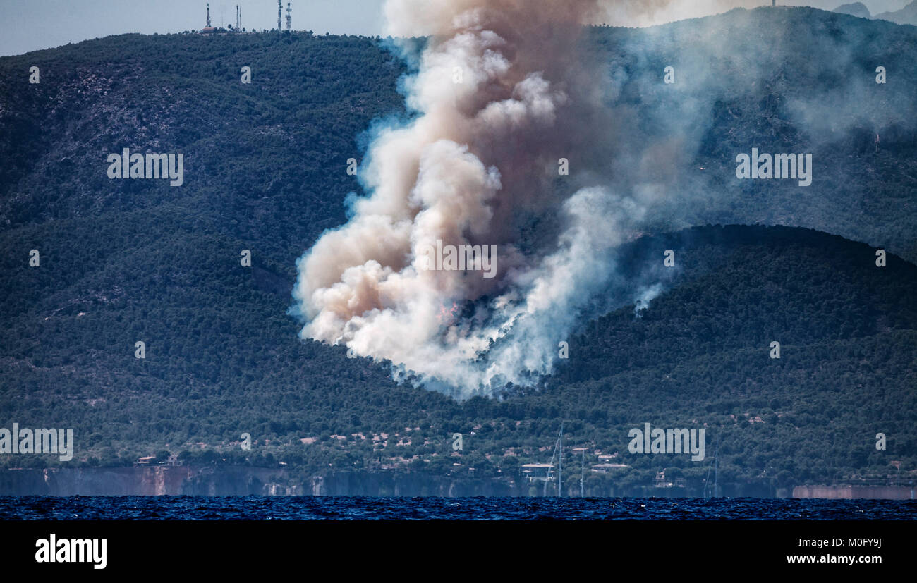Forest Fire , Mallorca , Spain Stock Photo