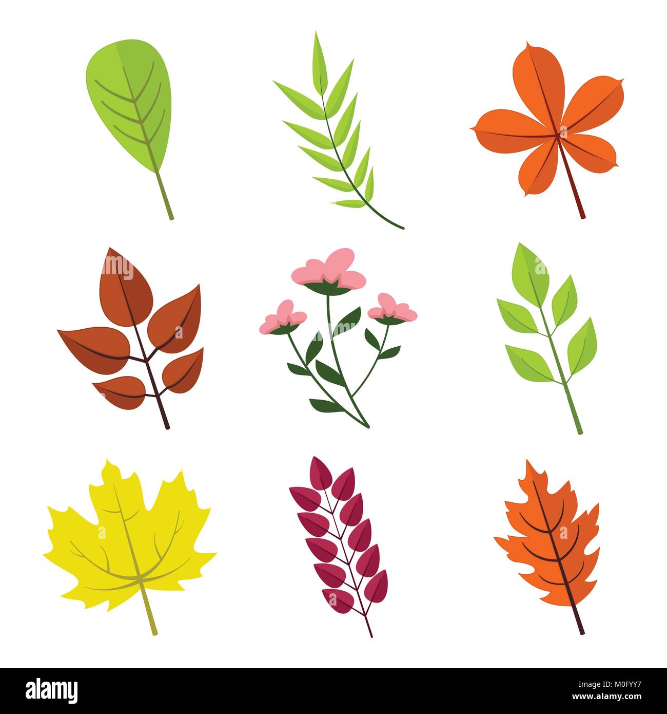 Simple Floral Various Leaves Vector Illustration Graphic Design Set Stock  Vector Image & Art - Alamy