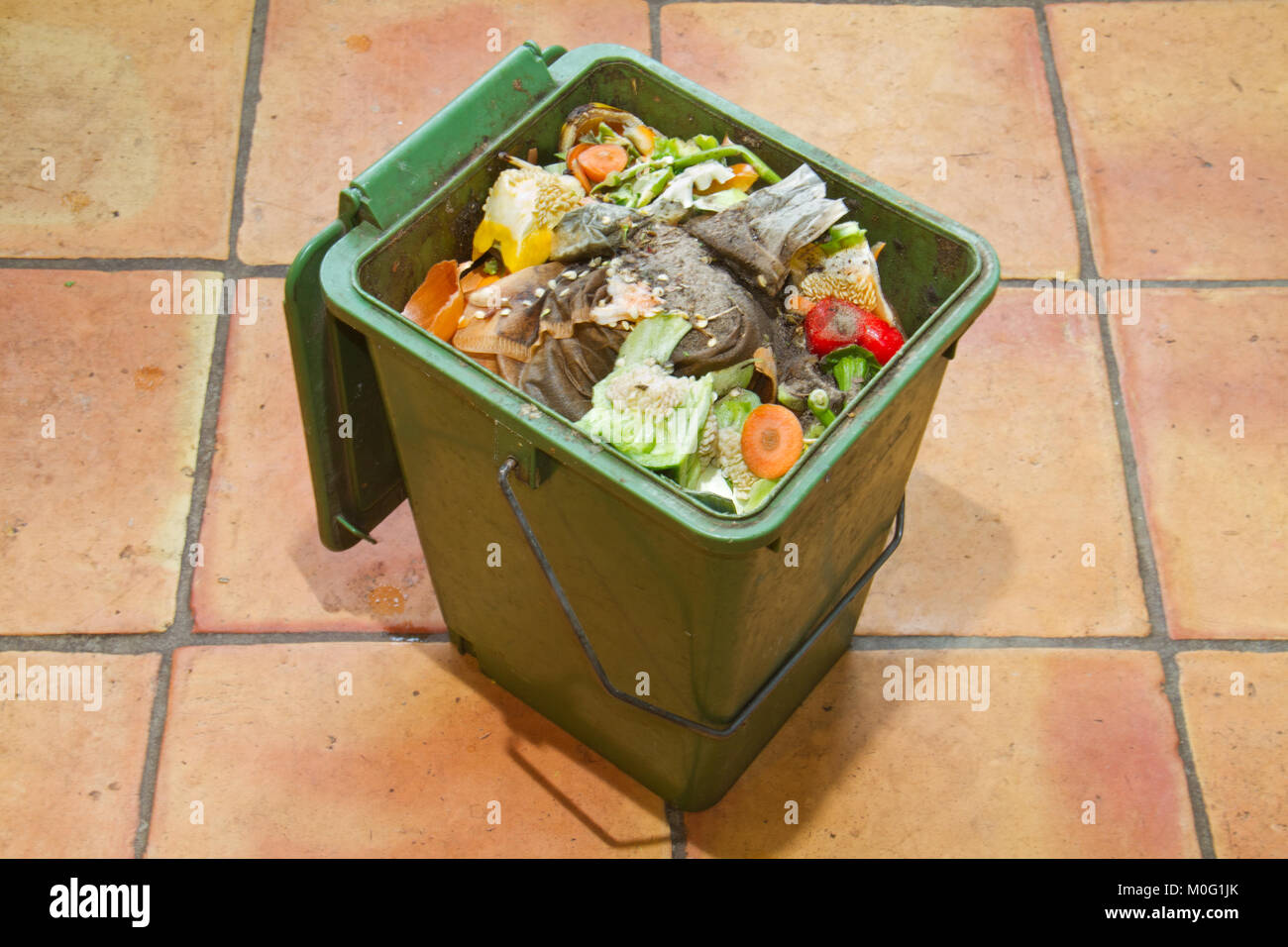 Green compost bucket, filled with organic waste products like vegetables, coffee and tea bags