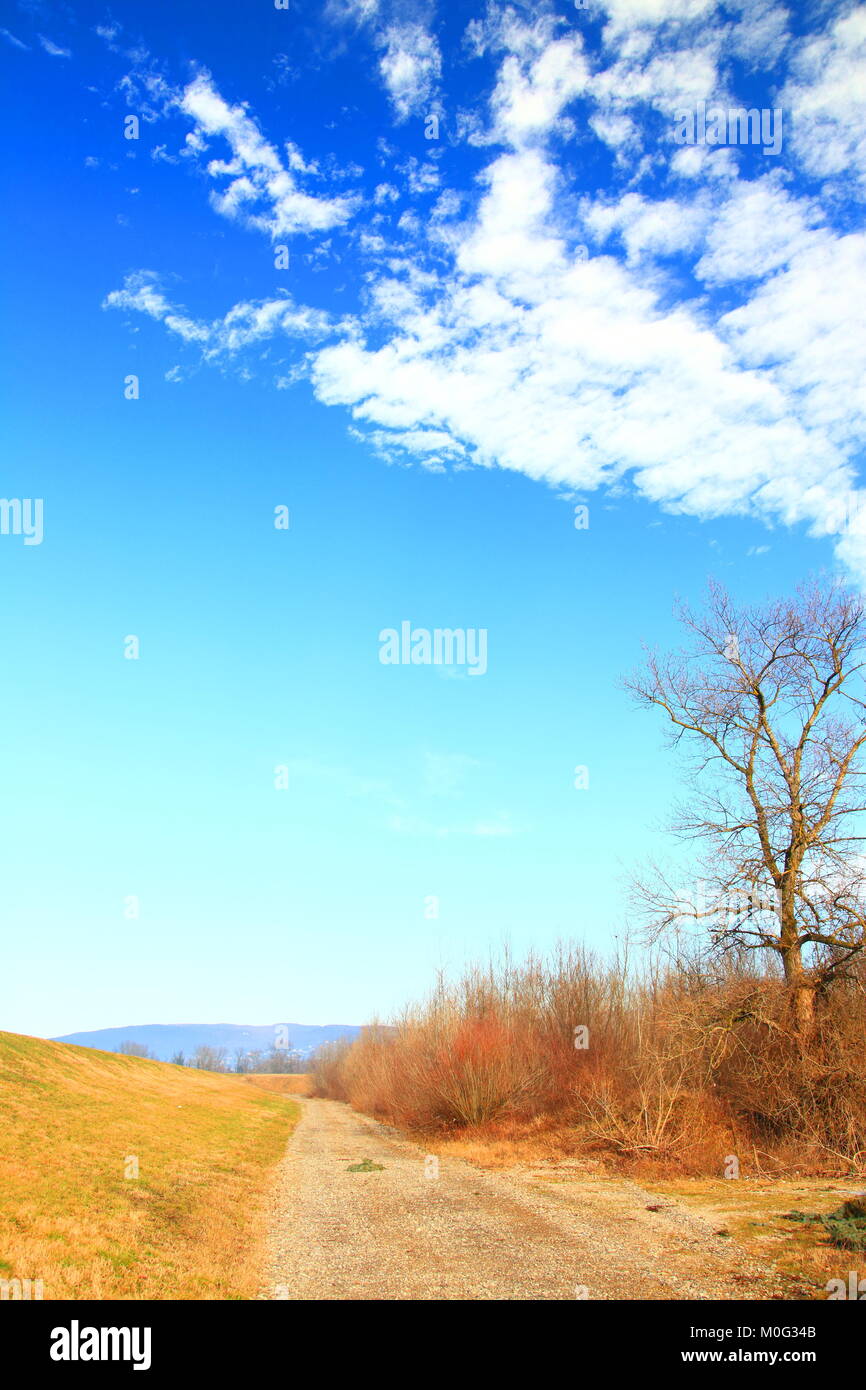 Field road and clear blue sky with some clouds Stock Photo - Alamy