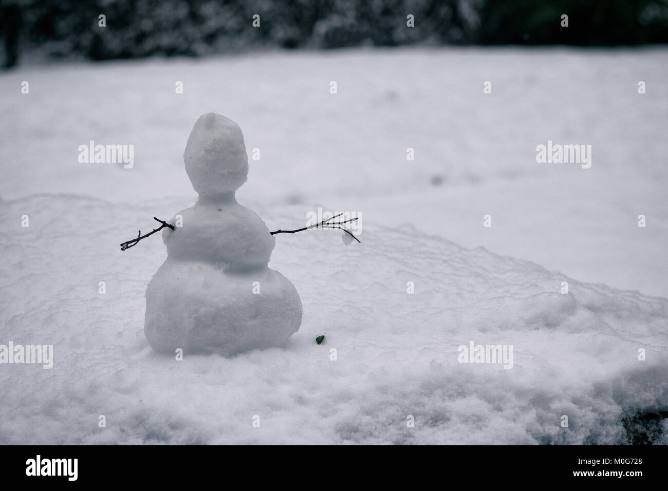 Mini snowman hi-res stock photography and images - Alamy