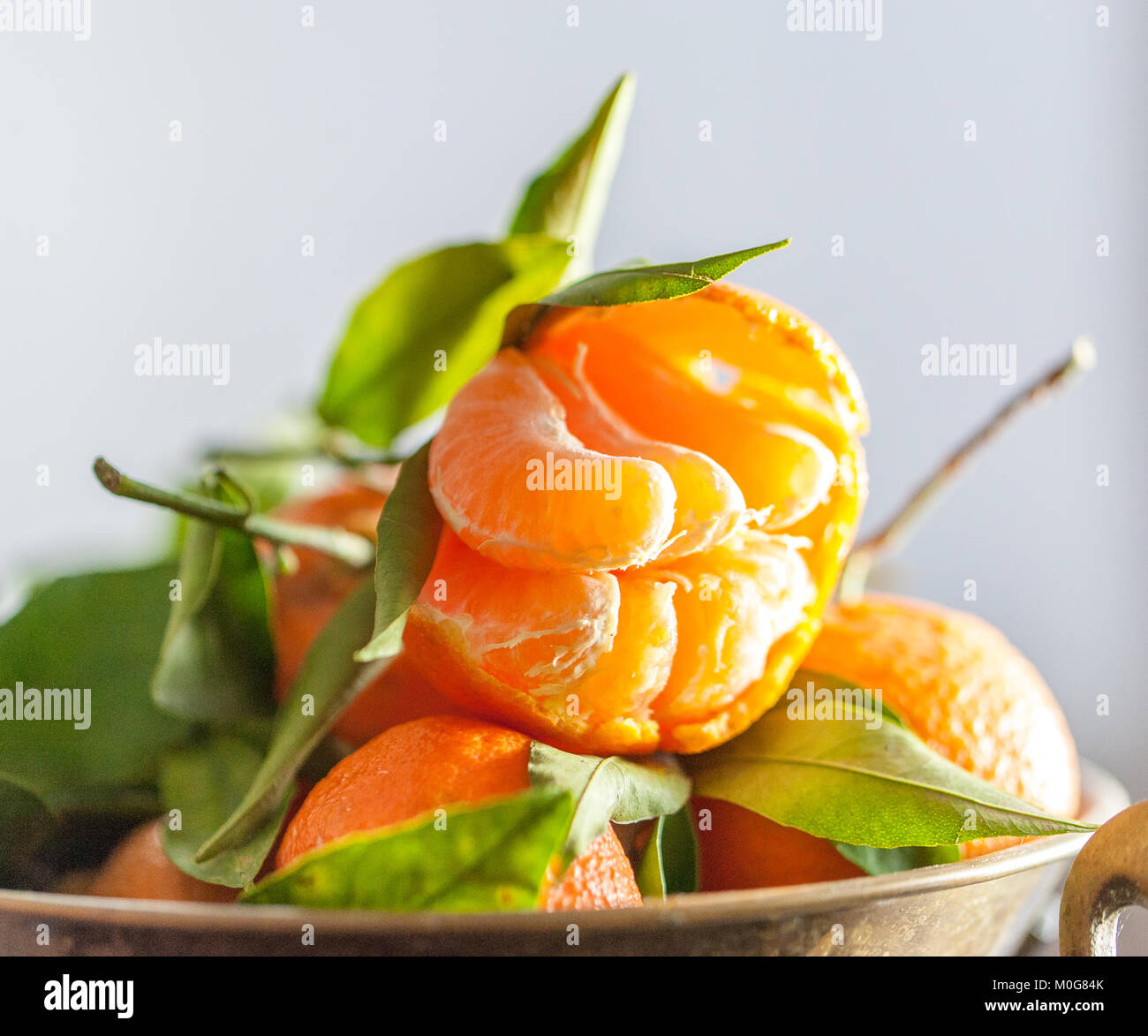 A closeup of a fresh peeled juicy clementine with green leaves on a