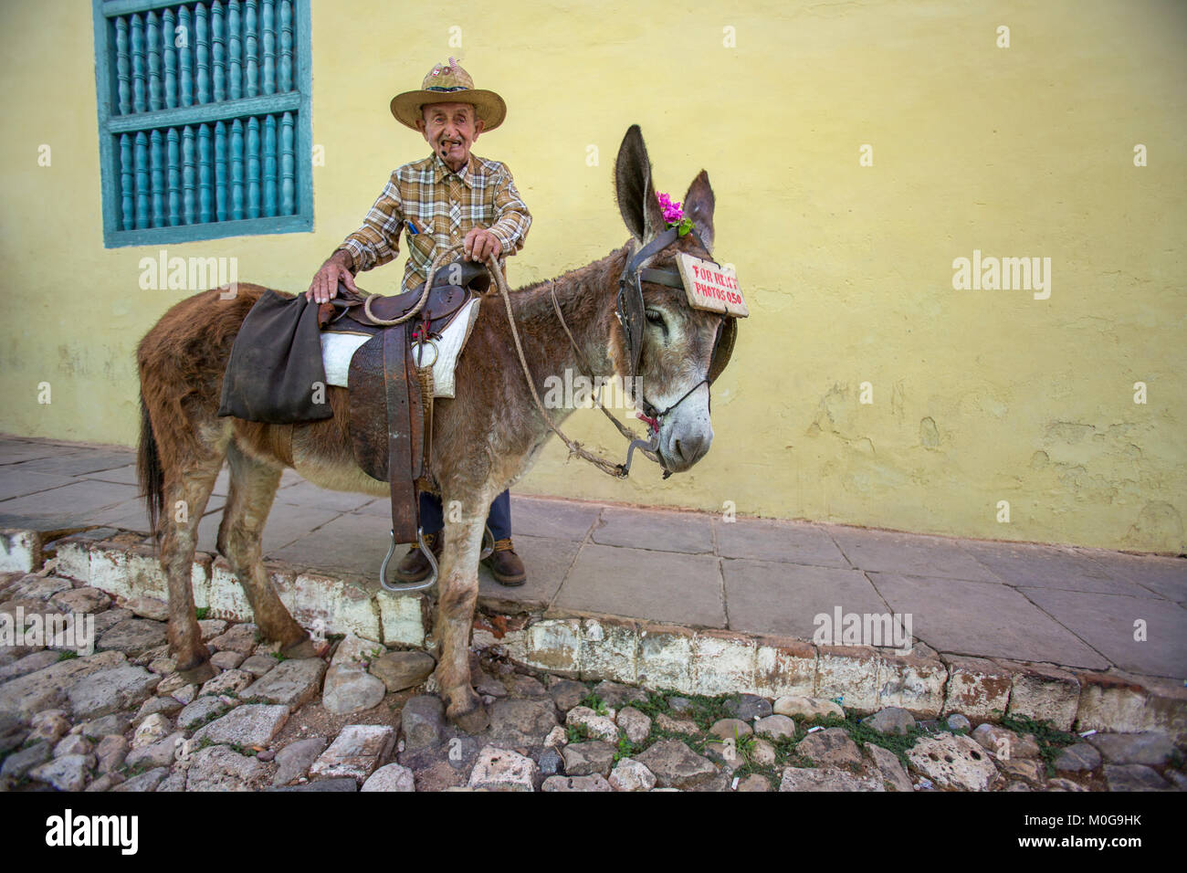 Old man and his donkey for rent in Trinidad, Cuba Stock Photo