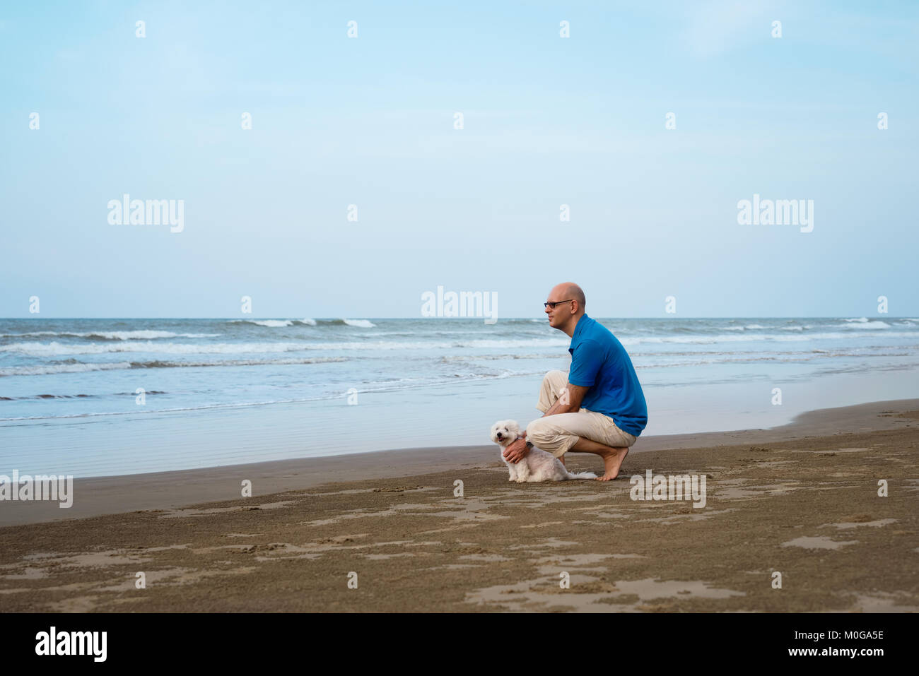 Owner with Maltese dog looking far at the beach Stock Photo