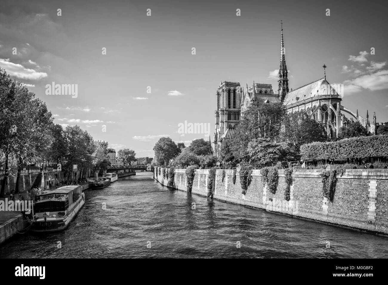 Notre Dame de Paris and the river Seine, Paris, France Stock Photo
