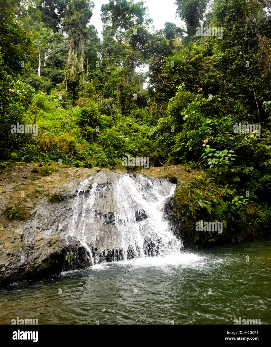 Waterfall in primary rainforest at Danum Valley Conservation Area, Borneo, Sabah, Malaysia Stock Photo