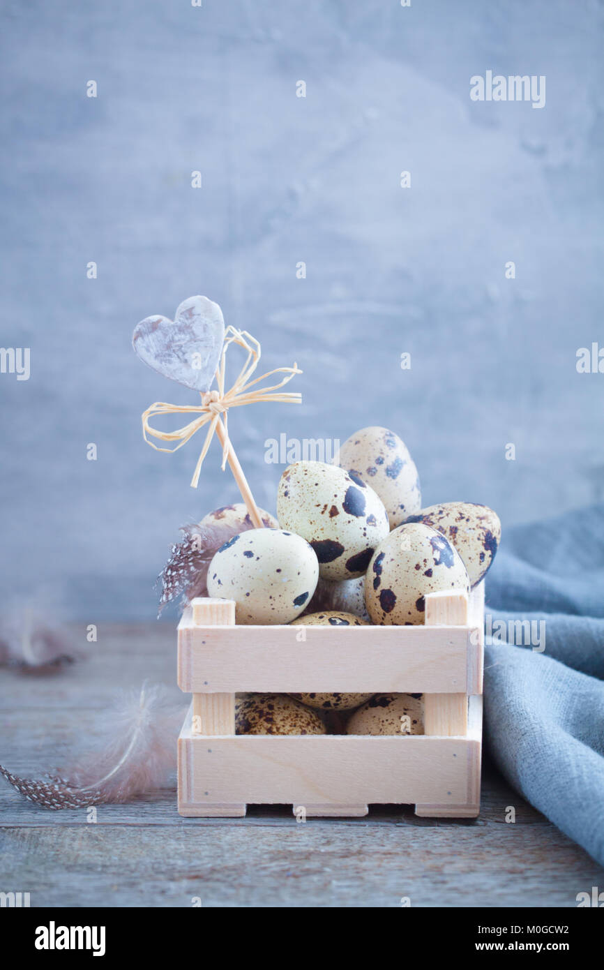Quail eggs in the wooden box with feathers on the rustic background ...