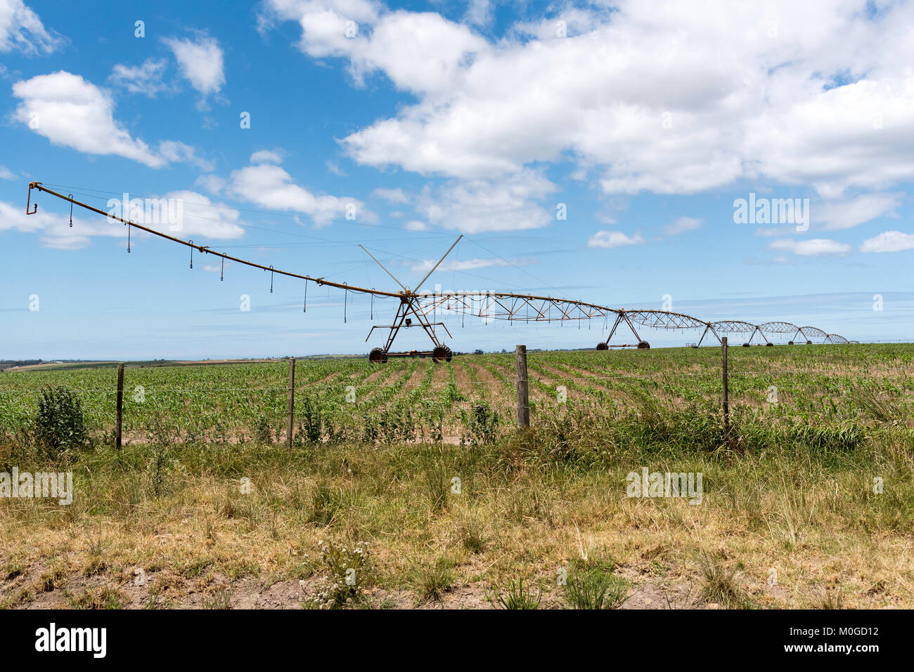 Blanco Western Cape South Africa. December 2017. Irrigation