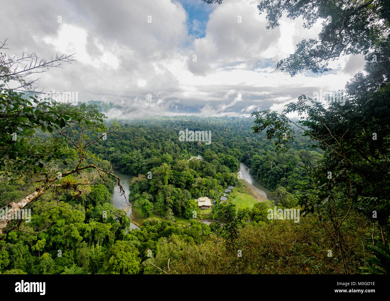 View over Borneo Rainforest Lodge from a lookout in primary rainforest