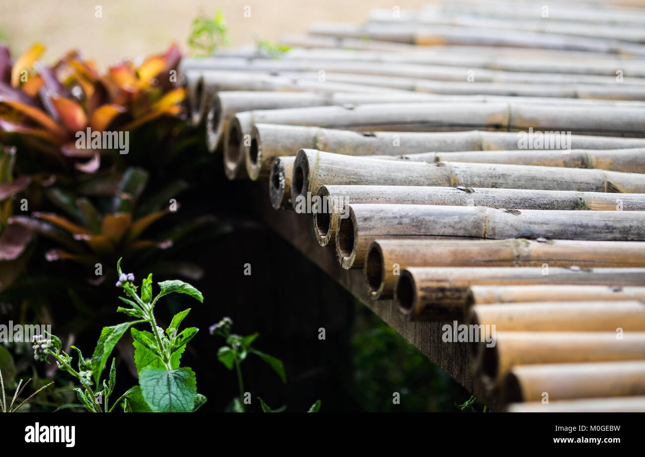 A part of a bamboo walkway across a small canal in a fertile rice field in close up view, selective focus. Stock Photo
