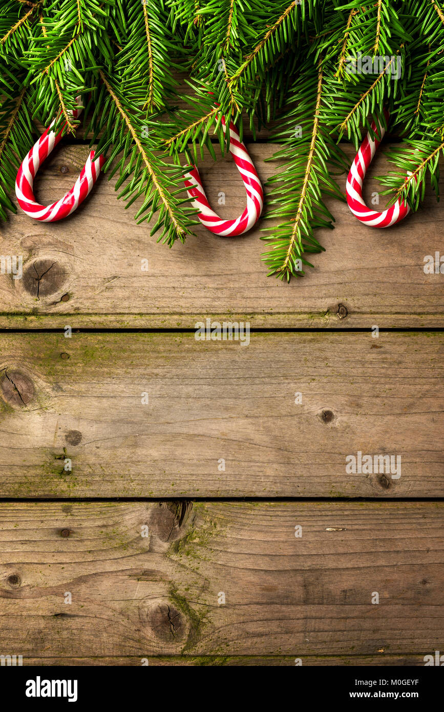 Christmas background with tree and candy canes Stock Photo - Alamy